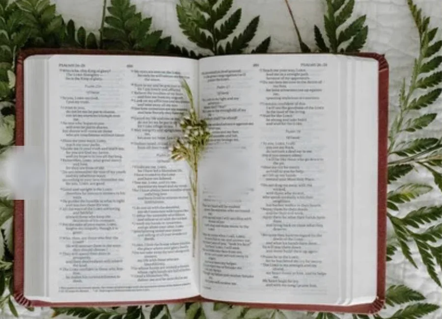 Open Bible with greenery